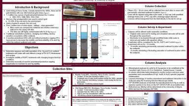 Assessing the effectiveness and long-term effects of reactive capping amendments within simulated contaminated wetland columns